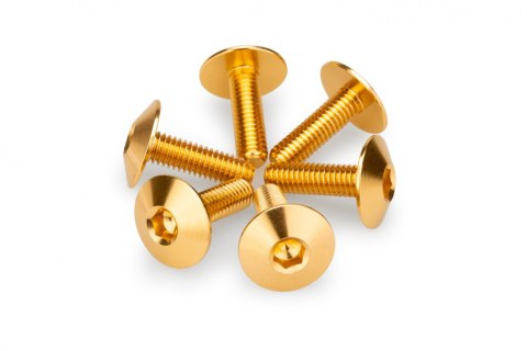 Anodyzowane śrubki PUIG do szyb i owiewek (M6x20, fi 16,9 mm, 6 szt.)