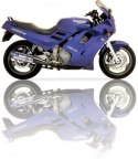 Tłumik IXIL TRIUMPH DAYTONA T357 typ SOVE (SLIP ON, RIGHT MUFFLER)