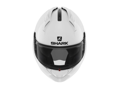 SHARK EVO GT BLANK WHITE