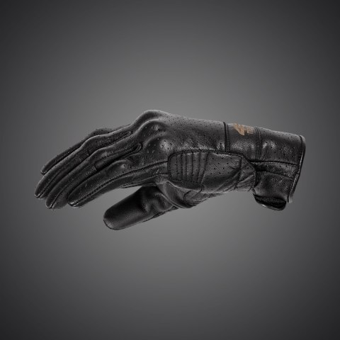 Monster gloves Evo