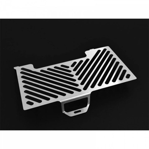 ZIEGER OSŁONA CHŁODNICY BMW F 800 ST BJ 2006-12