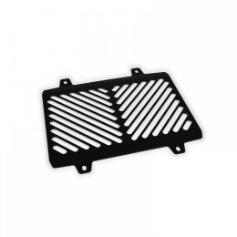 ZIEGER OSŁONA CHŁODNICY BMW G 310 R BJ 2017-19